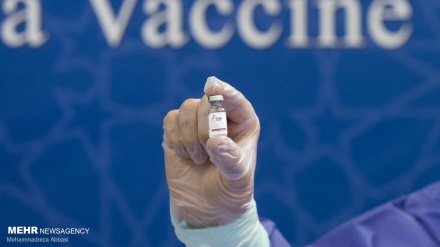 Vaksin yaydan sonra kütləvi istehsala çatmalıdır