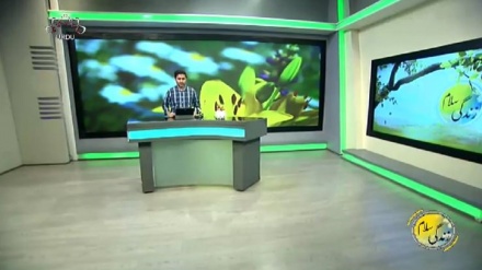 سماجی پروگرام ۔ زندگی سلام