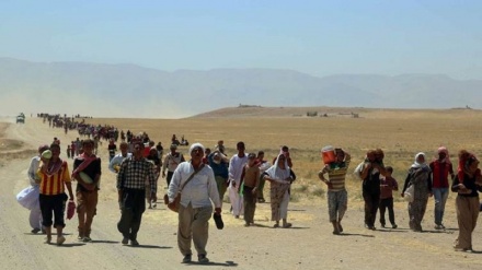   Komîsyona Peywendiyên Derve ya Parlamentoya Belçîkayê komkujiya Kurdên Êzidî nas kir