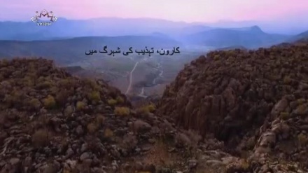 کارون تہذیب کی شہرگ میں، ڈاکومینٹری