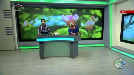 سماجی پروگرام ۔ زندگی سلام