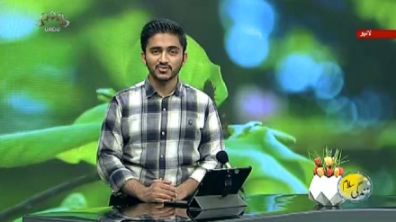 سماجی پروگرام ۔ زندگی سلام