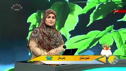 سماجی پروگرام ۔ زندگی سلام