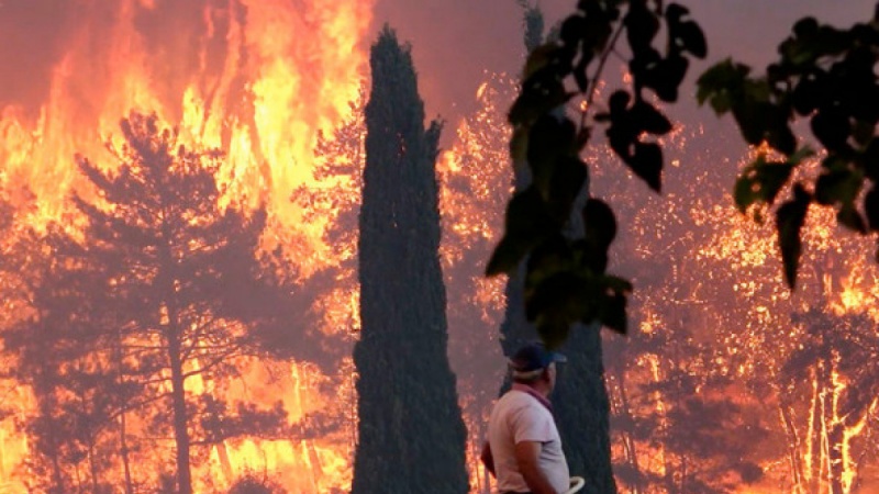 Šumski požari na jugu Turske