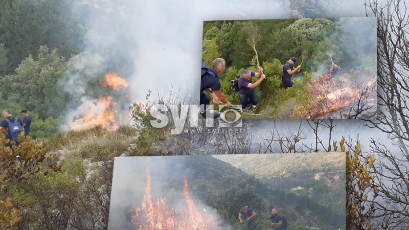  Riaktivizohen zjarri në Dukat, zjarrfikësit mundohen me dushqe ta fikin...