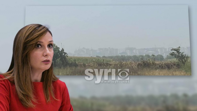 Mafia dhe korrupsioni po e vdesin Fierin!