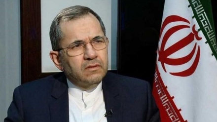 سیاسی عزم ہو تو ایٹمی ترک اسلحہ انجام پا سکتا ہے، مختلف بہانوں سے این پی ٹی کی خلاف ورزی ہو رہی ہے: ایران