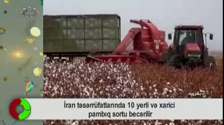 İQTİSADİ YENİLİKLƏR    14.07.2021  Bu veriliş sizi İranda və dünyada iqtisadi yeniliklərlə tanış edir.