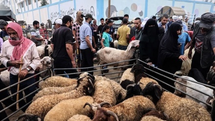 Amedbûna xelkê li nimêja cejna qurbanê li Xezeyê