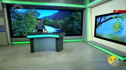 سماجی پروگرام ۔ زندگی سلام