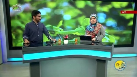 سماجی پروگرام ۔ زندگی سلام