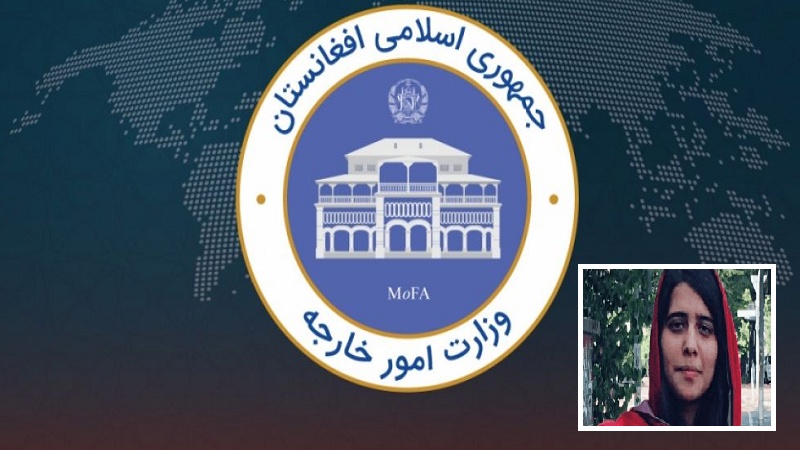 پاکستان کے وزیرداخلہ کے بیان پر افغان وزارت خارجہ کی تنقید 