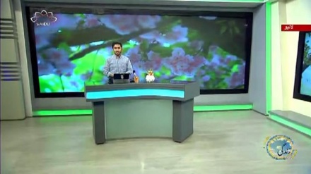 سماجی پروگرام ۔ زندگی سلام