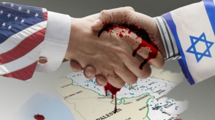 Ned Prays: İsrailin hərəkətləri aparteidin bir hissəsi deyil!