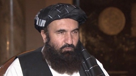Berpirsê payebilind ê Talibanê di gotûbêja bi Press TV'yê ra: Can û malê misilmanan ji wan şîeyan jibo me girîng e