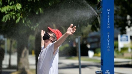 کینیڈا میں گرمی کا قہر، ہلاکتوں کی تعداد 500