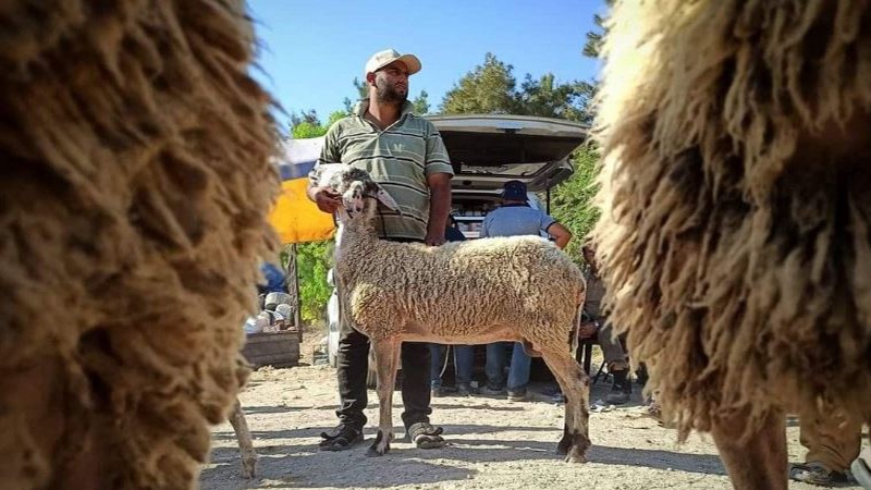 صیہونی حکومت کی خباثت کے باعث غزہ والوں کی عید کسمپرسی میں گزری: فلسطینی تنظیم