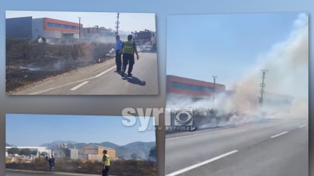 Arrestohen fermerë të Lezhës, Mirditës , Korçës e Dropullit, që dogjën qindra ha pyje dhe kullota