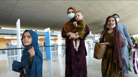 Sot mbërrin në Kosovë, grupi i parë i afganëve