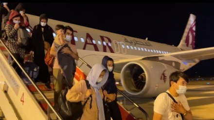 Mbërrin grupi i dytë dhe i tretë me refugjatë afganë: aktiviste, pedagogë, gazetarë me familjet e tyre