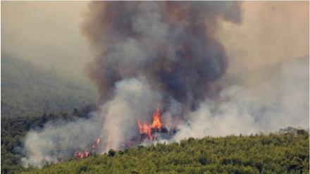 Një zjarr i ri shpërthen në ishullin Evia, evakuohen 3 vendbanime