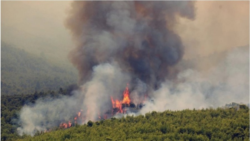 Një zjarr i ri shpërthen në ishullin Evia, evakuohen 3 vendbanime