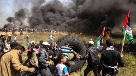 Dhjetëra palestinezë u plagosën pranë kufirit me Gazën