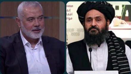 Hamasi uroi zyrtarisht talebanët për 