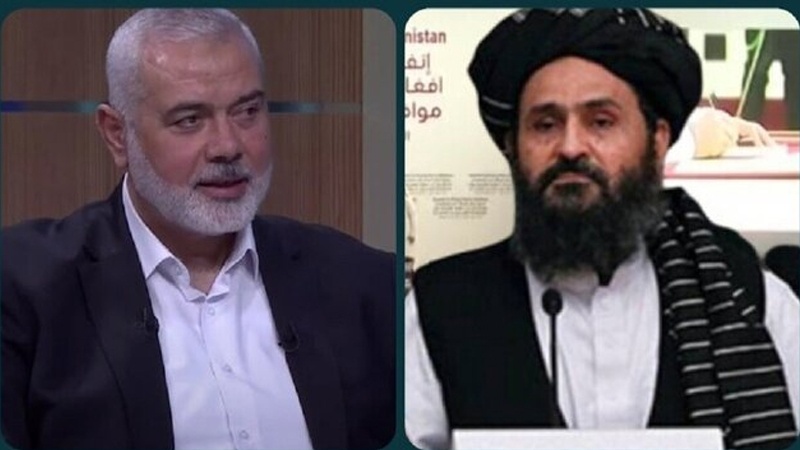 Hamasi uroi zyrtarisht talebanët për 