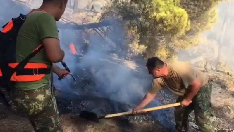 Burimet zyrtare: Largohet rreziku i zjarreve nga Llogaraja, edhe nga banesat në Mirditë