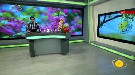 سماجی پروگرام ۔ زندگی سلام