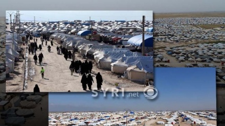 Largohen nga kampi e ferrit, mbërrijnë në atdhe 5 gra dhe 14 fëmijë