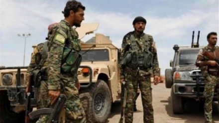 Li Efrînê girûpên çekdar 2 pîremêrên Kurd girtin 