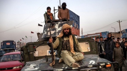 Letra e gazetarit afgan për Politico: Gabimi ynë më i madh ishte besimi tek Shtetet e Bashkuara