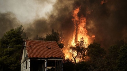 Zjarrfikësit luftojnë me zjarrin jashtë Athinës për të katërtën ditë