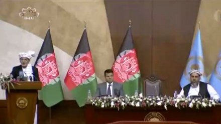 افغان صدر کی قومی لام بندی کی اپیل پر ردعمل