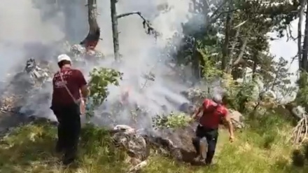 Luftë me zjarrin tërë natën në pishat e Mallakastrës, Policia: I qëllimshëm