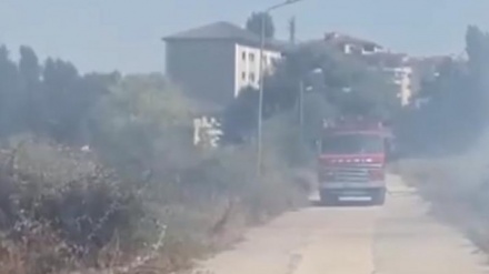 Zjarr afër konvikteve të studentëve në Korçë, Policia: Duket i qëllimshëm