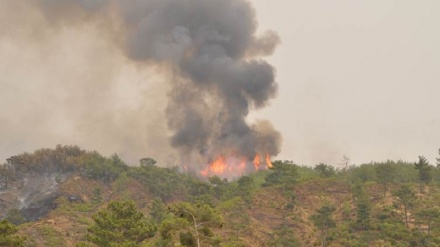  Agirê li 13 daristanên 6 parêzgehên Tirkiyê berdewam e