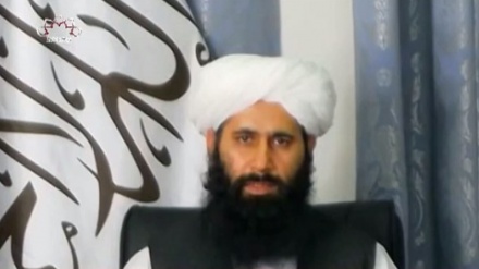 کابل دهماکے کی ذمہ داری بیرونی افواج پرہے، طالبان کا بیان 