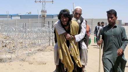 پاکستان میں افغان پناہ گزینوں کی گرفتاری پر اقوام متحدہ کا ردعمل