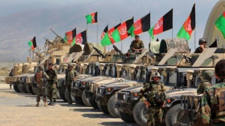 افغانستان کے مختلف علاقوں میں سیکڑوں طالبان ہلاک 