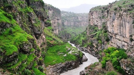 گزنگی به‌یانی - 21-07-2021