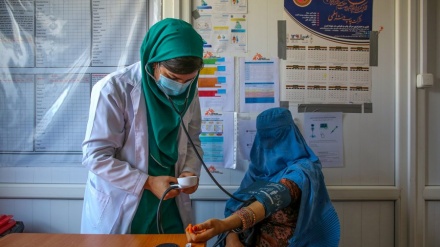 Talibanët 'nuk i lejojnë mjeket të kthehen në punë'