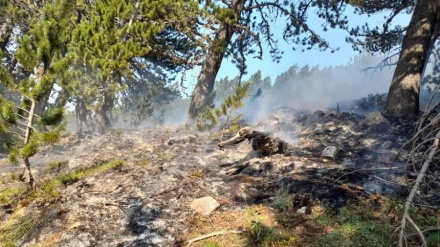 Shiu shuan zjarret në Kukës dhe Tropojë, Mbrojtja Civile: Po kontrollojmë zonën dhe dëmet