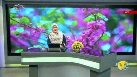 سماجی پروگرام ۔ زندگی سلام