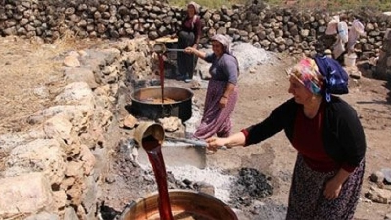 Şirnex; Li qûntara Çiyayê Gabarê jin mijûlî çêkirina dimsê ne