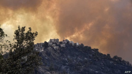 الجزائر کے جنگلات میں ہولناک آتشزدگی بدستور بے قابو