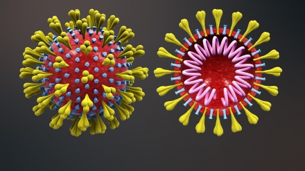 کورونا وائرس مکمل طور پر ختم ہونا ناممکن : عالمی ادارہ صحت
