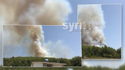 Pamje të frikshme, zjarri u afrohet banesave në Mamurras